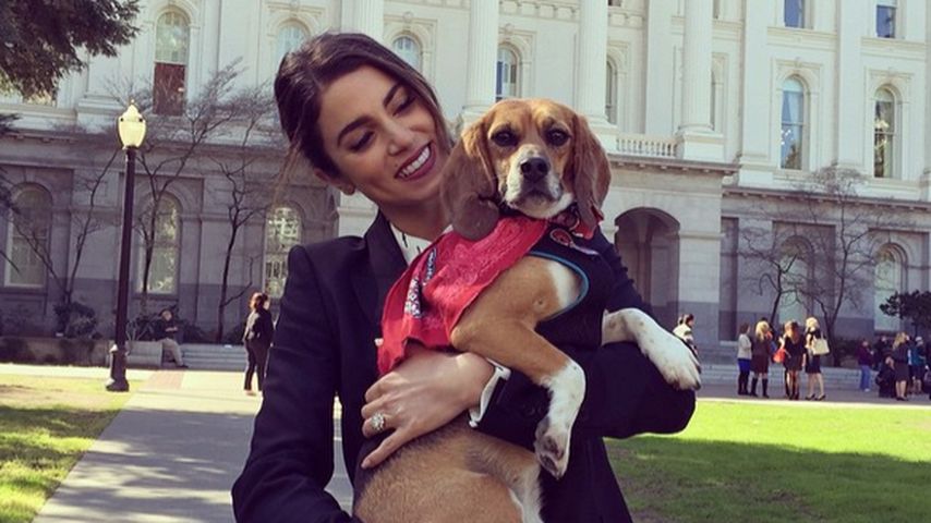 Nikki Reed