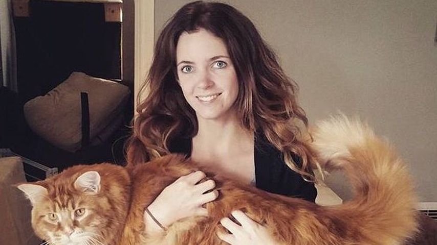 Was für ein Brocken! Omar, der fast längste Kater der Welt