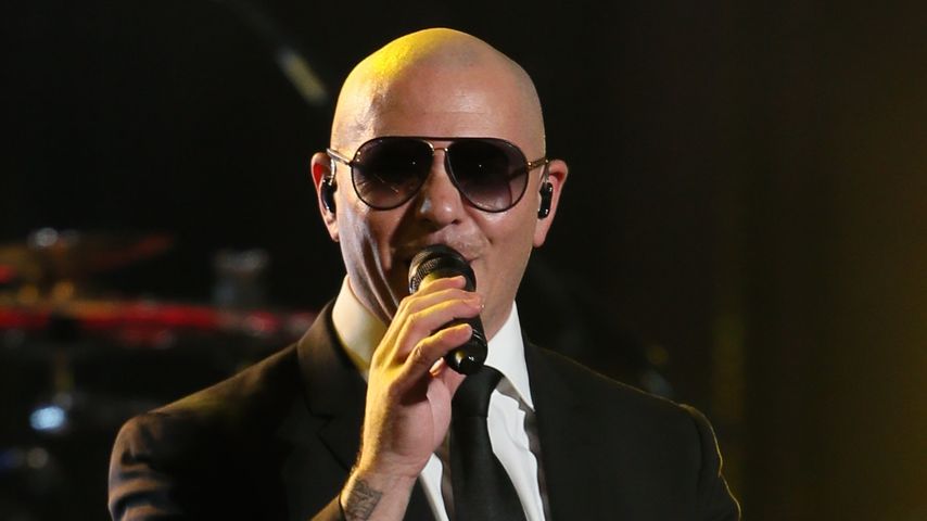Pitbull