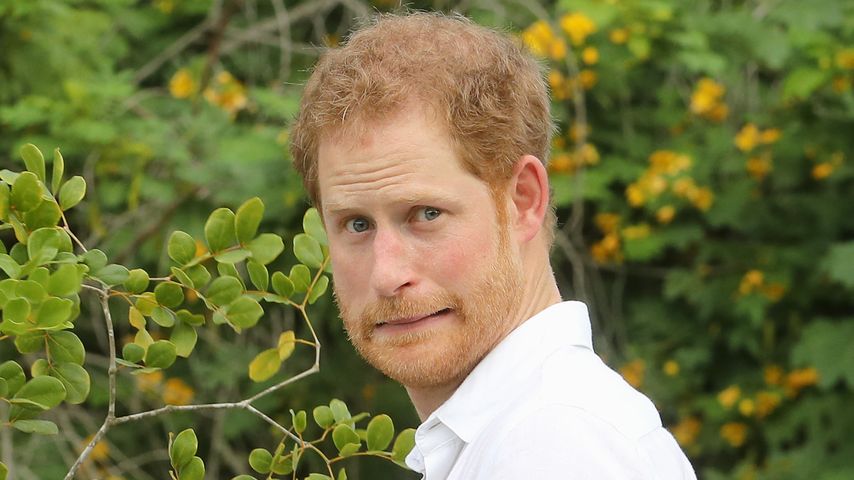Prinz Harry bei seinem Karibik-Besuch in Antigua und Barbuda