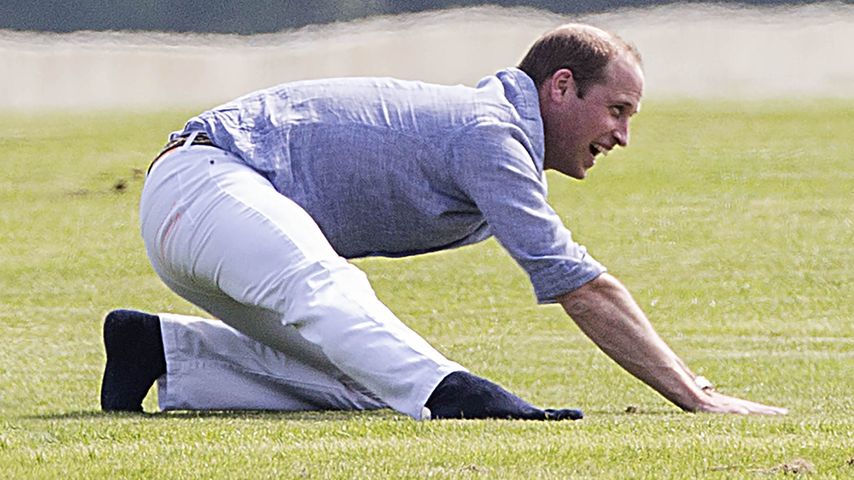 Prinz William