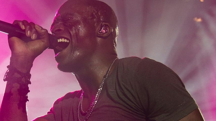 Seal