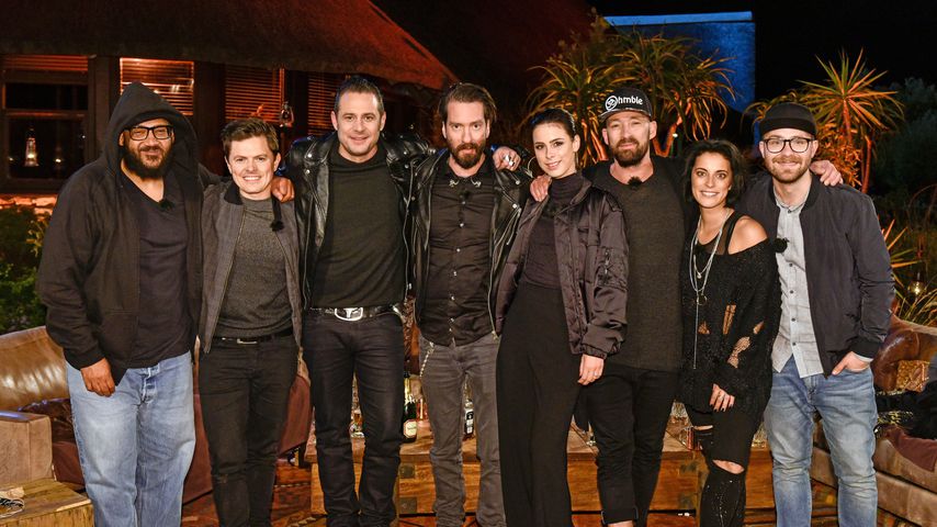 "Sing meinen Song"-Cast 2017