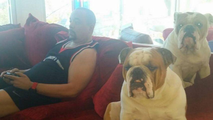 Ice-T