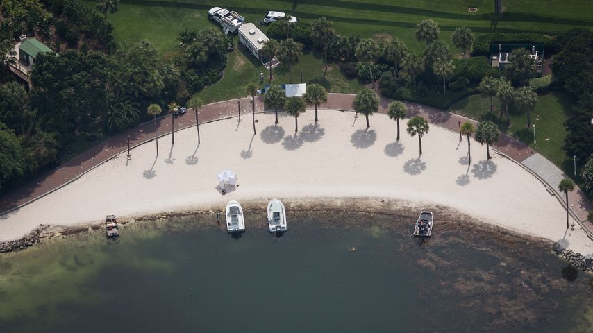 Strand des Grand Floridian Resort im Disney World Orlando