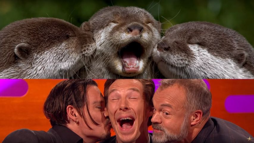Johnny Depp und Benedict Cumberbatch