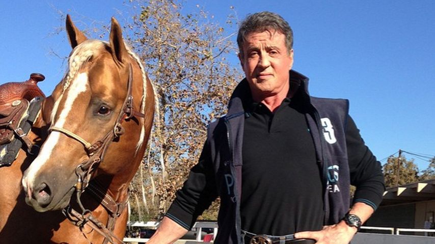Sylvester Stallone