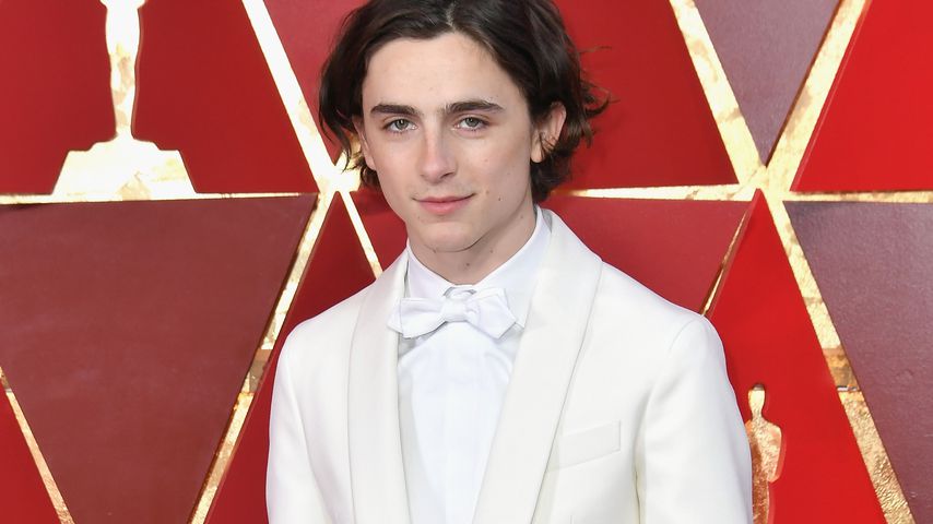 Timothée Chalamet bei den Oscars 2018