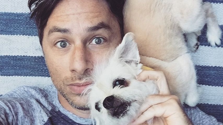 Zach Braff