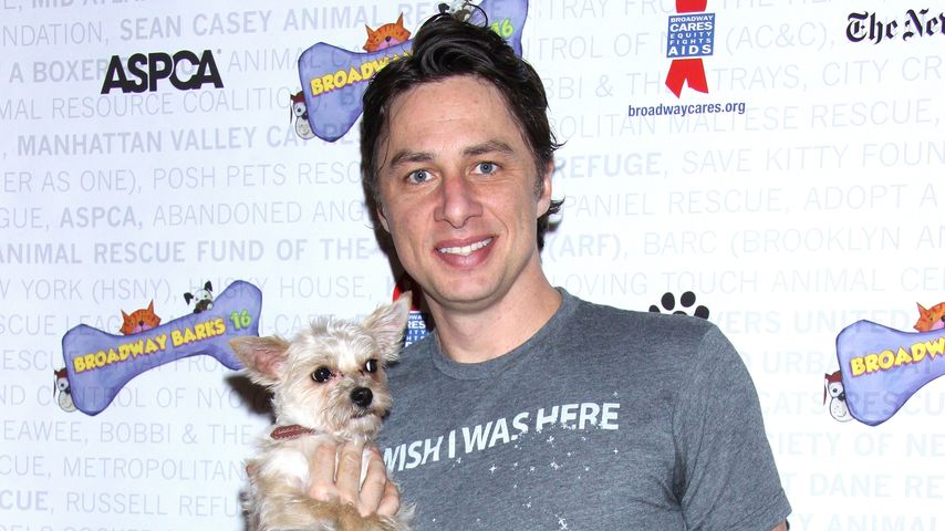 Zach Braff