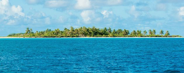 Die Insel der Kuppelshow "Adam sucht Eva" Die Insel der Kuppelshow "Adam sucht Eva"