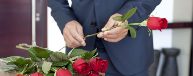 Der Bachelor Der Bachelor