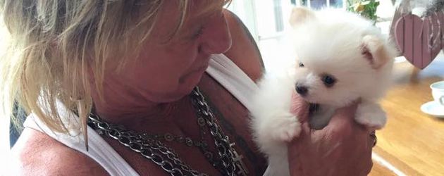 Bert Wollersheim und Hund Barney Boo Bert Wollersheim und Hund Barney Boo