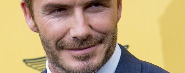 David Beckham David Beckham