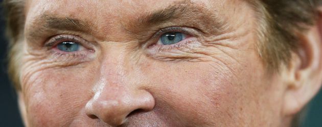 David Hasselhoff David Hasselhoff