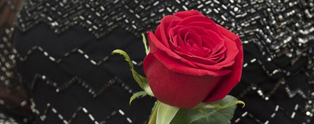Die Bachelorette, TV-Show Die Bachelorette, TV-Show