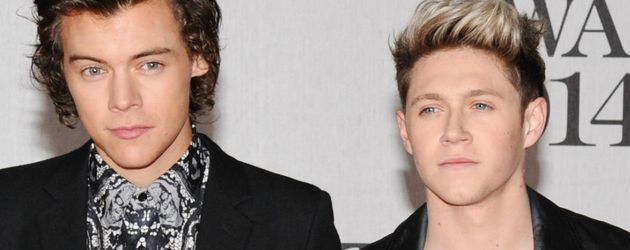 Harry Styles und Niall Horan Harry Styles und Niall Horan
