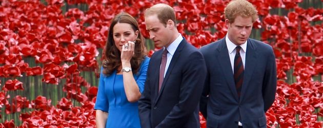 Herzogin Kate, Prinz Harry und Prinz William Herzogin Kate, Prinz Harry und Prinz William