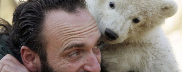 Knut Knut