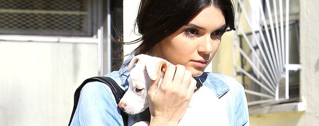 Kendall Jenner Kendall Jenner