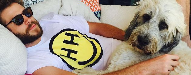 Liam Hemsworth, Schauspieler Liam Hemsworth, Schauspieler