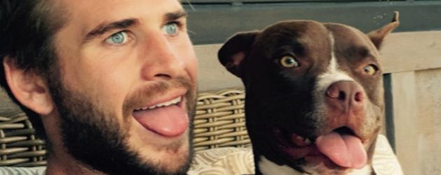 Liam Hemsworth Liam Hemsworth