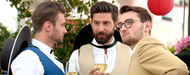 Michi, Sebastian und Lukasz, Bachelorette-Kandidaten Michi, Sebastian und Lukasz, Bachelorette-Kandidaten