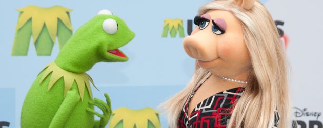 Miss Piggy und Kermit der Frosch Miss Piggy und Kermit der Frosch