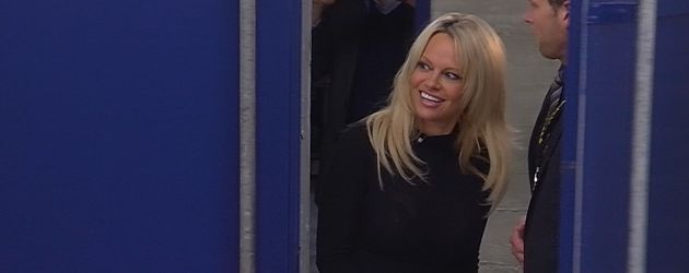 Pamela Anderson Pamela Anderson