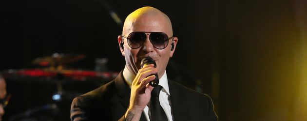Pitbull Pitbull