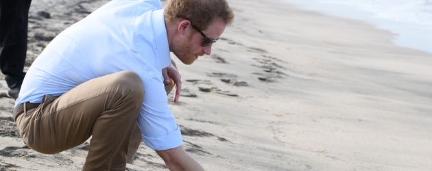 Prinz Harry am Lovers Beach in Cabo San Luca Prinz Harry am Lovers Beach in Cabo San Luca