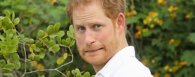 Prinz Harry bei seinem Karibik-Besuch in Antigua und Barbuda Prinz Harry bei seinem Karibik-Besuch in Antigua und Barbuda
