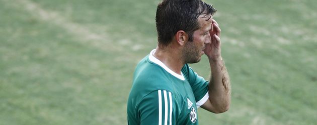 Rafael van der Vaart Rafael van der Vaart