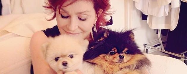 Sharon Osbourne kuschelt mit ihren Hunden Sharon Osbourne kuschelt mit ihren Hunden