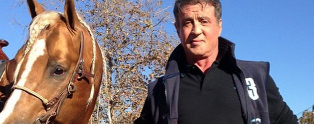 Sylvester Stallone Sylvester Stallone